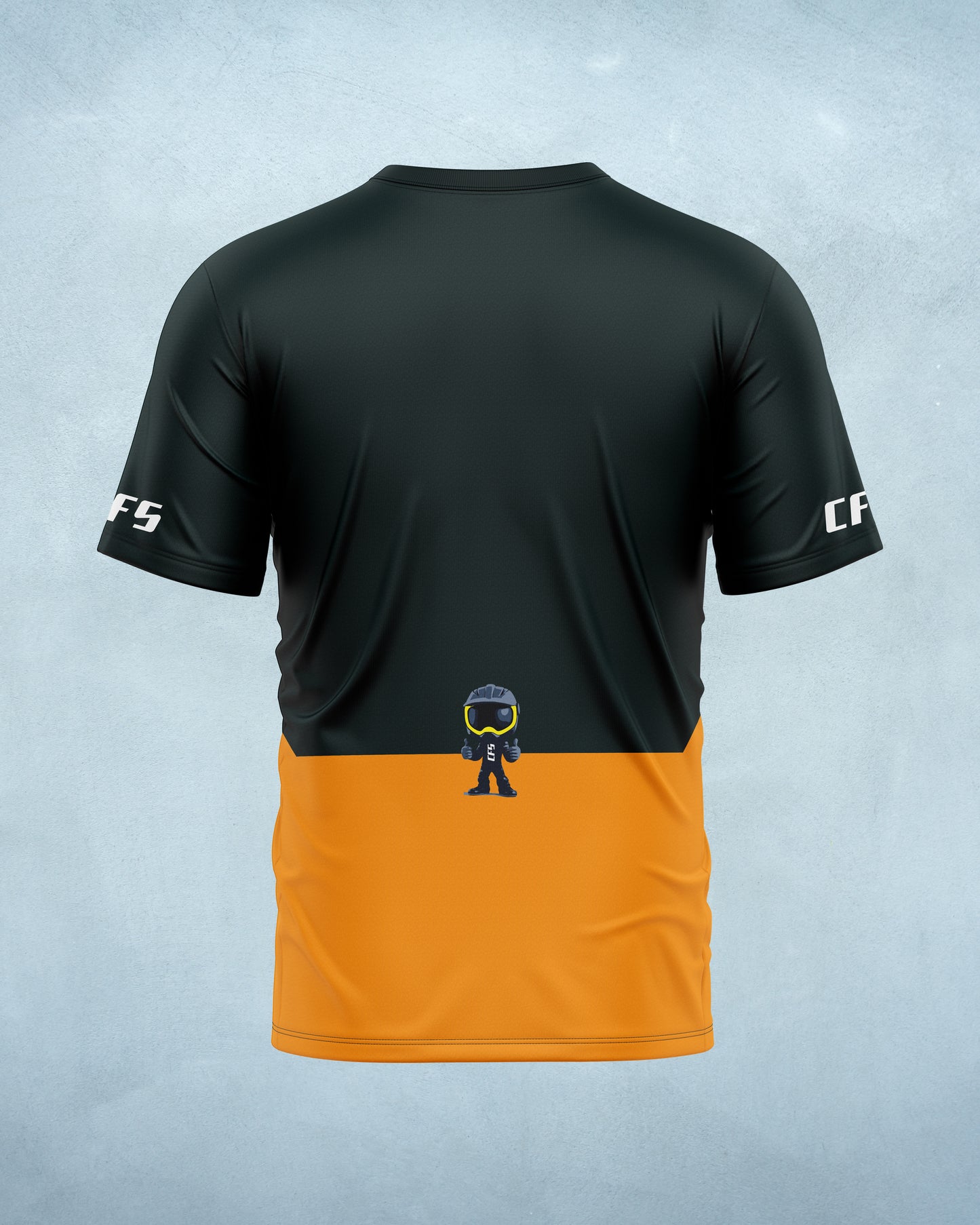 Eagle Rider (CFS765)